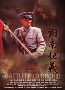 精品视频中文字幕